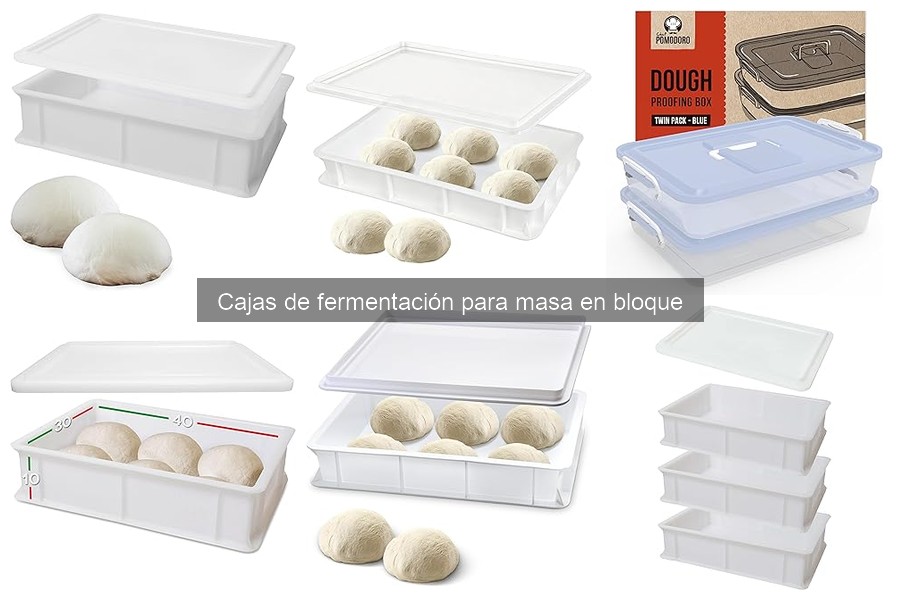 Ofertas y descuentos en cajas de fermentación para masa