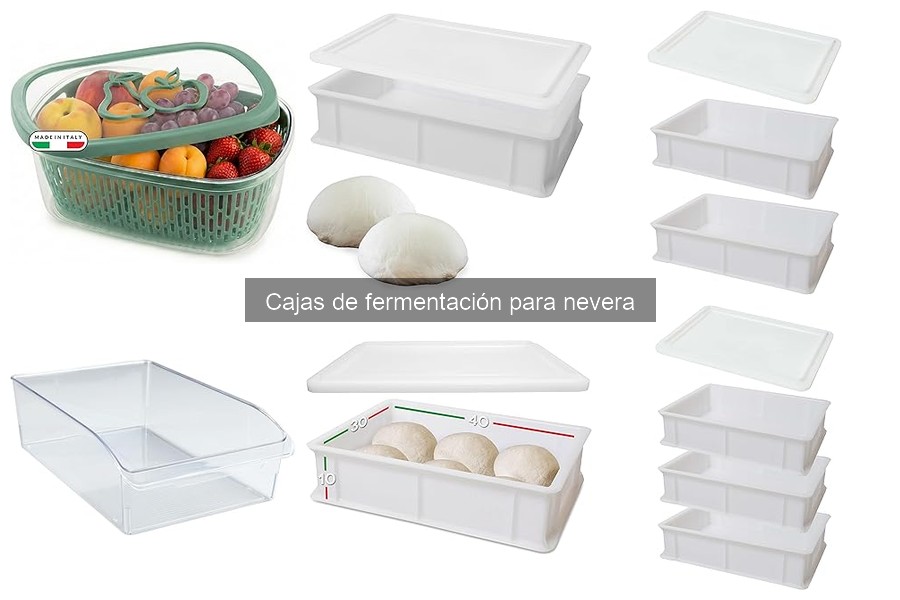 Ofertas y precios en cajas de fermentación para nevera