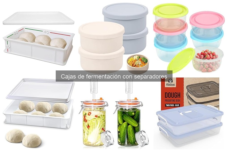 Opiniones de Cajas de Fermentación con Separadores en 2023