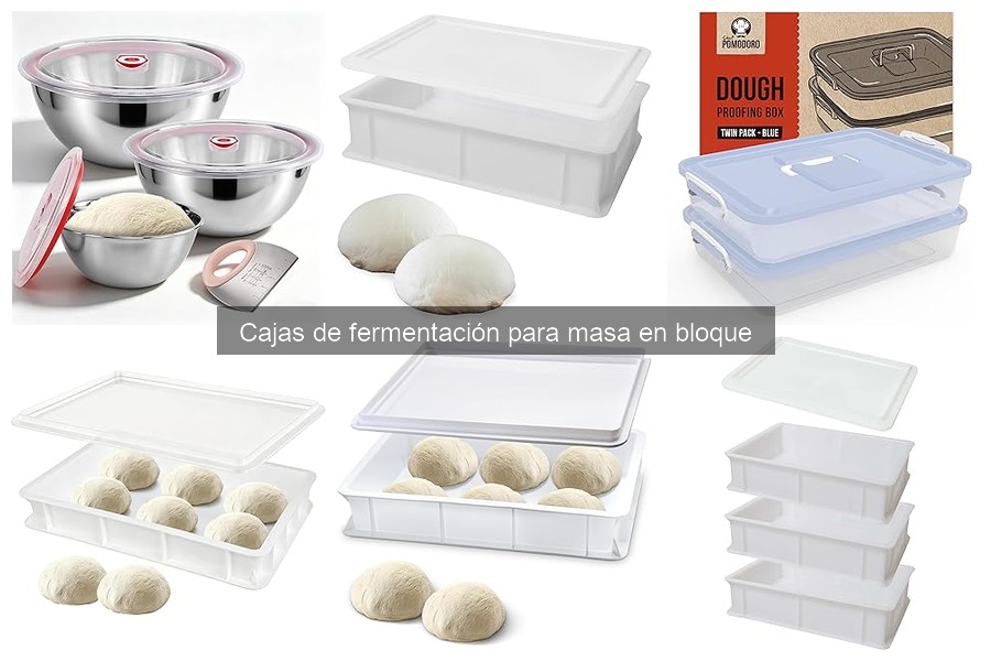 Opiniones sobre cajas de fermentación para masa en bloque
