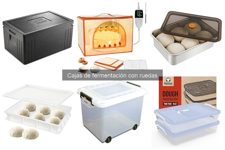 Precios de cajas de fermentación con ruedas: guía actualizada