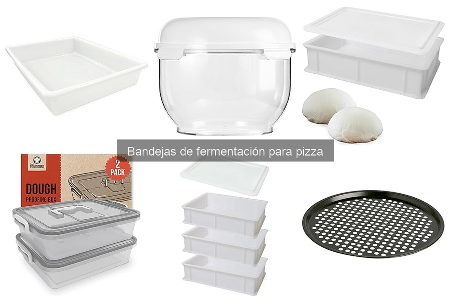Precios y Dónde Comprar Bandejas de Fermentación para Pizza