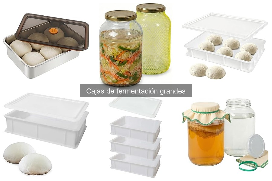 Problemas comunes al usar cajas de fermentación grandes