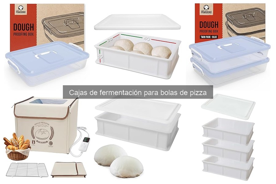 Qué buscar en una caja de fermentación para pizza