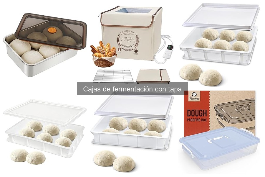 ¿Qué es una caja de fermentación con tapa para pizza?