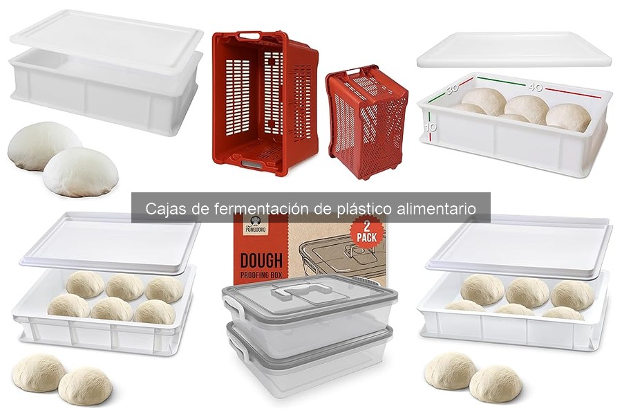 Qué es una caja de fermentación de plástico alimentario