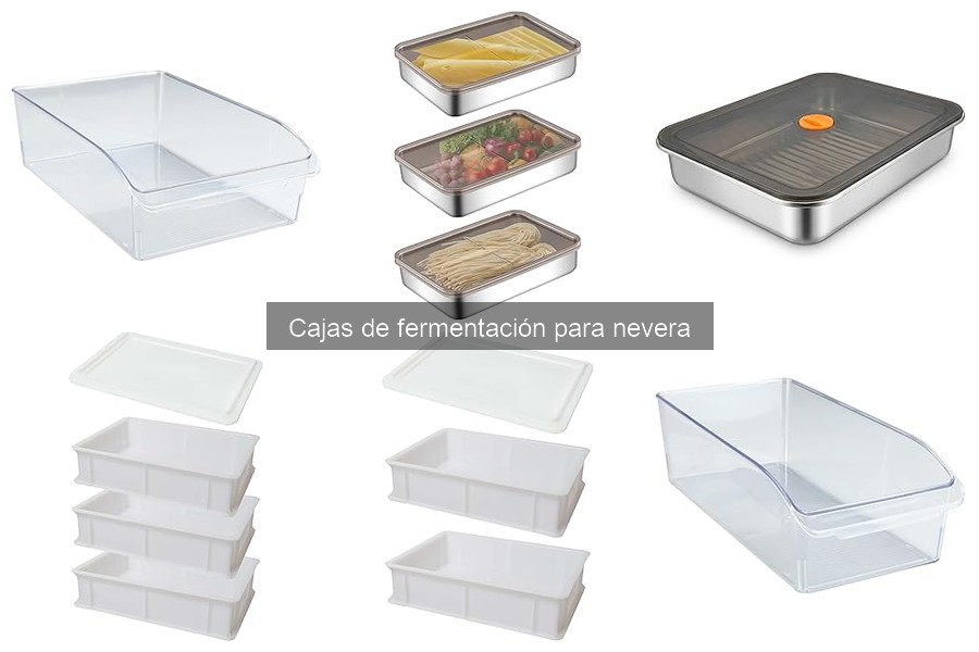 ¿Qué es una caja de fermentación para nevera? Descúbrelo
