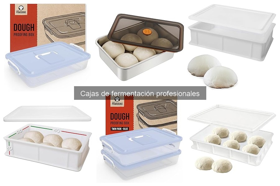 ¿Qué es una caja de fermentación profesional para pizza?