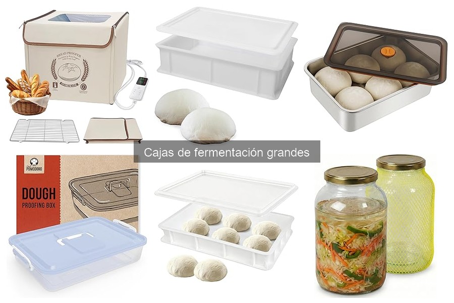 ¿Qué son las cajas de fermentación grandes para pizza?