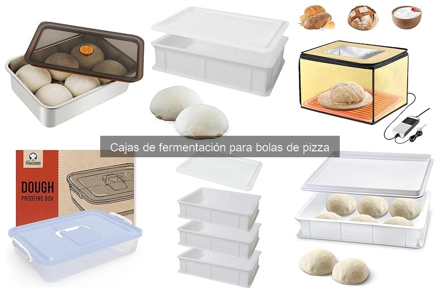 ¿Qué son las cajas de fermentación para bolas de pizza?