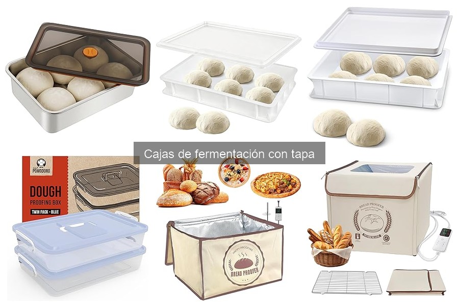 Testimonios sobre Cajas de Fermentación con Tapa para Pizza