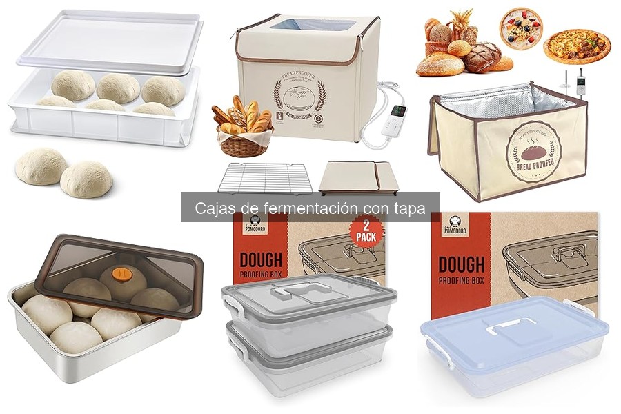 Tipos de cajas de fermentación con tapa y sus usos