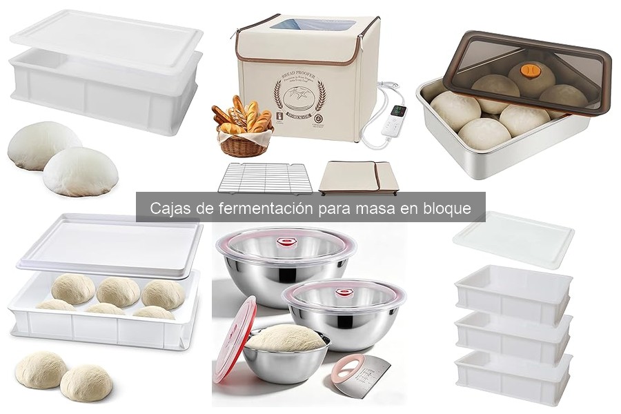 Tipos de cajas de fermentación para masa: características y más