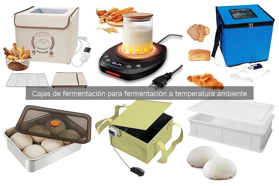 Tipos de cajas de fermentación para pizza: características y más