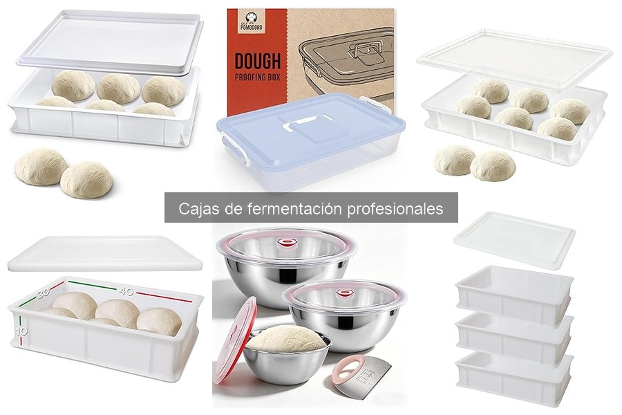 Tipos de cajas de fermentación para pizza: guía completa