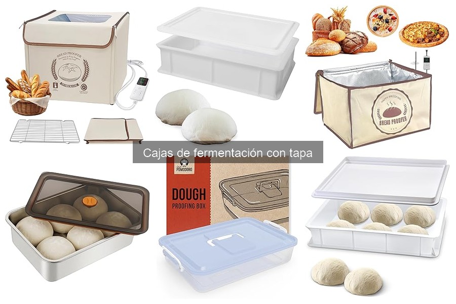 Ventajas de usar una caja de fermentación con tapa para masa