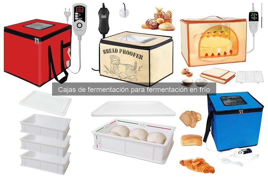 Ventajas de usar una caja de fermentación para pizza