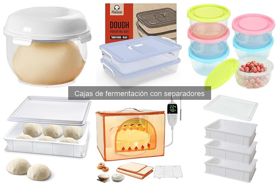 Ventajas y desventajas de cajas de fermentación con separadores