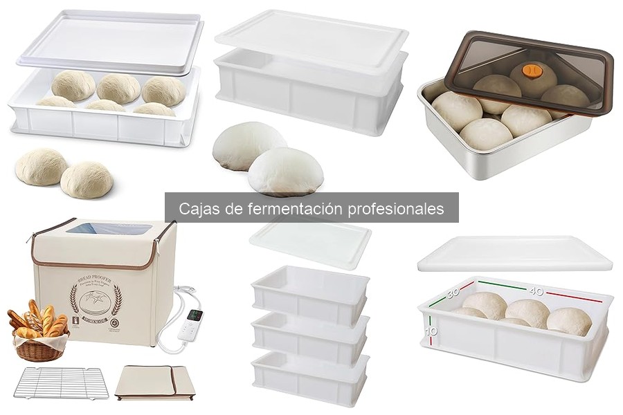 Ventajas y desventajas de las cajas de fermentación de masa