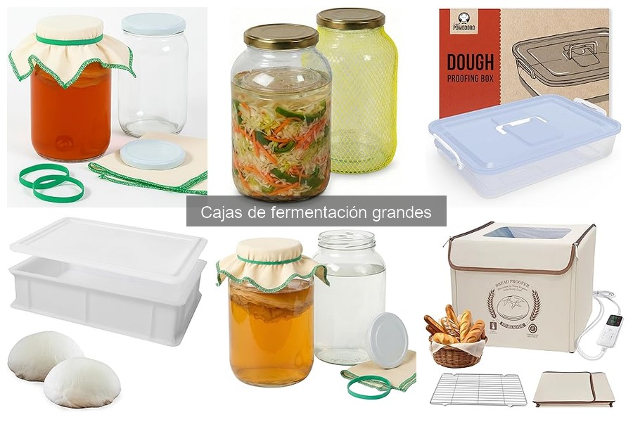 Ventajas y desventajas de las cajas de fermentación grandes
