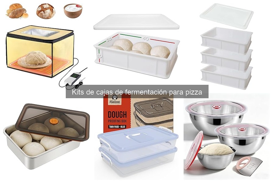 Ventajas y desventajas de las cajas de fermentación para pizza